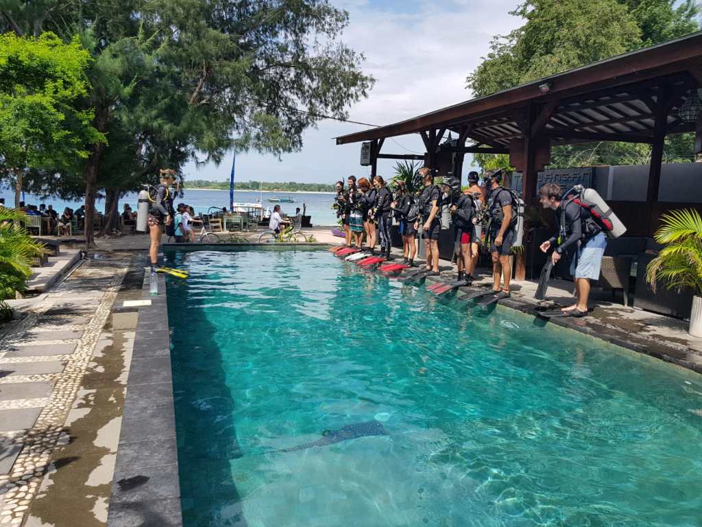 IDC Pool Training Skill Demonstration Holly Macleod
